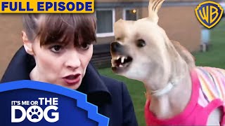 Its Me or The Dog UK  Episode 1  Warner Bros TV [upl. by Daub]