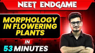 MORPHOLOGY OF FLOWERING PLANTS in 53 Minutes  NEET 2024 [upl. by Nuyh211]