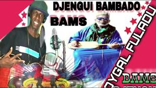 bams djengui bambado doygal fuladu audio official [upl. by Calista]