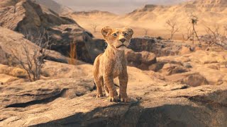 The Lion King 2019 Full English Movie  Donald Glover Seth Rogen Chiwetel Ejiofor  Review amp Facts [upl. by Gwen]