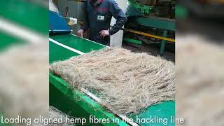 Ssuchy Hemp Processing [upl. by Ykcir103]