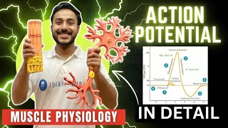 action potential physiology in hindi  ionic basis of action potential in skeletal muscle physiology [upl. by Harikahs]