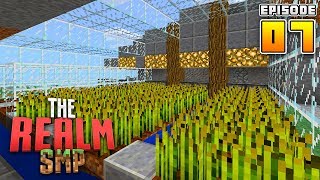 AUTOMATIC FARM RealmSMP Ep7 Survival Lets Play Minecraft [upl. by Eelyma]