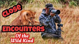 Wildlife Close Encounters  Photographers Getting Close and Personal  Reaction Vid [upl. by Esihcoc953]