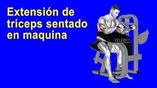 Ejercita el tríceps con la rutina extensión de tríceps sentado en máquina [upl. by Antony]