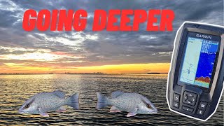 Catching Mangrove Snapper With A Fish Finder [upl. by Nim]