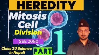 Heredity  Mitosis Cell Division  SEE preparation 2080  Class 10 SCIENCE in Nepali [upl. by Hazeghi527]