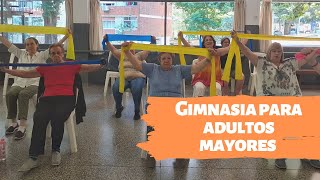 Gimnasia para Adultos Mayores sentado [upl. by Haikan40]