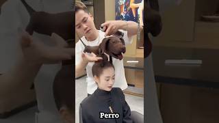 El talentoso peluquero chino shorts shortvideos facts hechos ytshorts ytviral [upl. by Lefton]