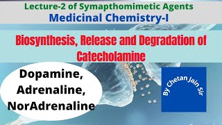 Catecholamine Biosynthesis Release and Metabolism or Catabolism of Adrenaline Noradrenaline [upl. by Aremmat]