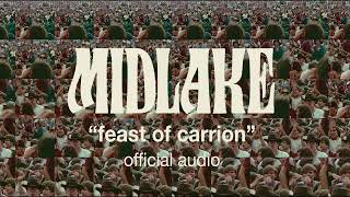 Midlake  quotFeast of Carrionquot Official Audio [upl. by Straus950]