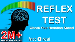 Reflex Test  Check your Reaction Speed  How fast you are [upl. by Fassold]