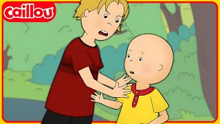 Caillous New Classmate  Caillous New Adventures  Season 3 Episode 30 [upl. by Nawad]