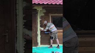 Holzhaus STREICHEN in 55sec😏 diy holz werkstatt wood handwerk maler farbe paintpainting [upl. by Hodge]