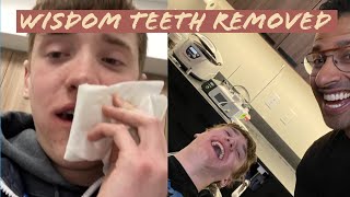 GETTING MY WISDOM TEETH REMOVED [upl. by Scotney779]