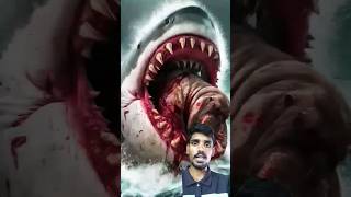 blood vs megalodon vs killer sark and shortvideo anaconda shortvideo [upl. by Enninaej]