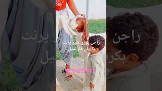 youtubeshortvideo goatfarminginpakistan farming [upl. by Llewsor]