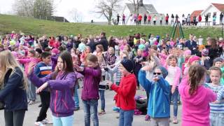 Dansens dager  Spjelkavik barneskole 2014 [upl. by Eyk191]