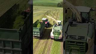 🚜 Krone Combine amp Massey Ferguson Tractor Team Up 🌾 Epic Silage Collection [upl. by Aniroc]