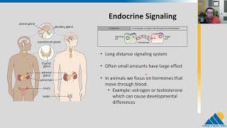 BIOL201 Ch91  Signaling Molecules and Cellular Receptors [upl. by Hairom]