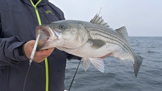 How To Casting 2oz EPOXY JIG™ Lures for Striped Bass [upl. by Neva]