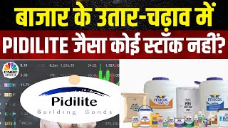 Pidilite Share Rally  आपके निवेश पोर्टफोलियो में क्यों शामिल होने चाहिए ये शेयर Share Market Tips [upl. by Ahrens]