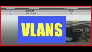 VLANS Explained How to Setup a VLAN on a Switch [upl. by Columbyne]