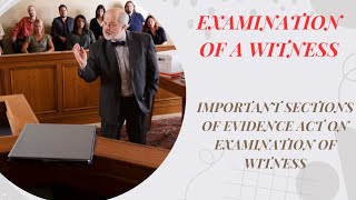 ExaminationinChief amp Cross Examination of a Witness I Important provisions of Evidence Act [upl. by Ahsim]