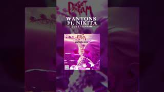 wantons arta koorosh KooroshOfficial وانتونز remix آرتا [upl. by Charters830]