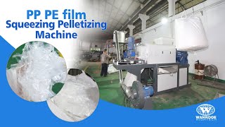 1001000kgh Plastic PP PE Film Squeezing Pelletizing Drying Granulator Machine for China Customer [upl. by Llednov]