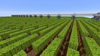 Feasible Melon Based Bone Meal Farm [upl. by Adnaluoy744]