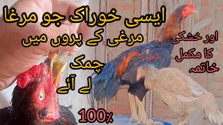 How to Make Chicken Feathers Shiny 🐓 Murgay k par Chamkelay Banaye🪽  USAMA BHAI VLOGS 👍💯🐓🪽💥 [upl. by Mandal]