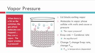 Pregnancy Line Not Progressing  Amazon Tests Vs First Response  OPK Tests for Pregnancy Results [upl. by Venator]