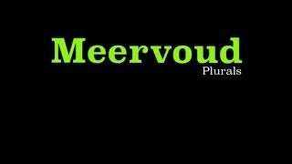 Afrikaans  Meervoude Plurals  Part 1 of 2 [upl. by Camel]