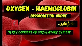 OXYGEN HAEMOGLOBIN DISSOCIATION CURVE  HAEMOGLOBIN SATURATION CURVE  IN TAMIL [upl. by Narual]