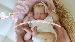 Announcing the Reborn Baby Giveaway Winner  Sophias Reborns [upl. by Fong]