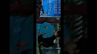 Lan Jinghui x Ling Dong brighttime HaoFushen BianCheng 芥子时光 chinesedrama [upl. by Eidua]