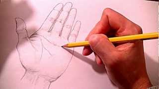 How to Draw Hands Step by Step Many Ways [upl. by Dougall14]