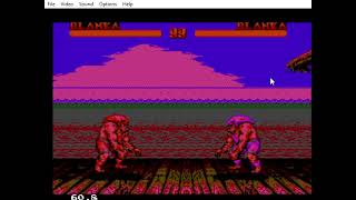 Video Game Glitches 1071 amp 1072 Street Fighter II SMS  2 more glitches w2 Blankas [upl. by Loss267]