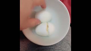 boild eggasmr food yummy [upl. by Tiphany]