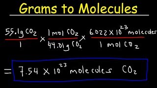 Grams to Molecules and Molecules to Grams Conversion [upl. by Naldo882]