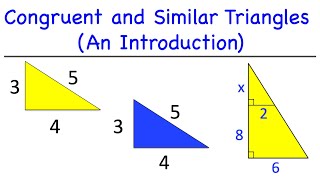 Congruent and Similar Triangles An Introduction [upl. by Eiresed]