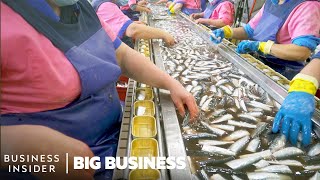 How The World’s LongestRunning Sardine Cannery Packs 60 Million Cans A Year  Big Business [upl. by Naejarual170]