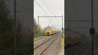 Gele neus virm 🔥 treinleven treinspotter train nederlandsespoorwegen dutchtrains railway fyp [upl. by Thomsen]