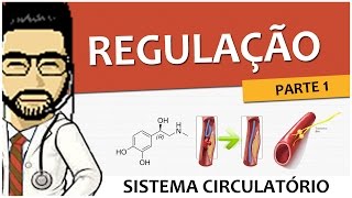 Sistema Circulatório 06  Regulação  Parte 1 Vídeo Aula [upl. by Rinna]