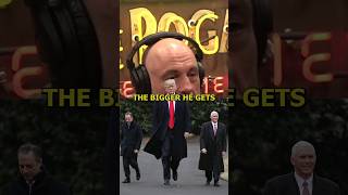 The More They Come After Him The Bigger He Gets  Joe Rogan [upl. by Alfie366]