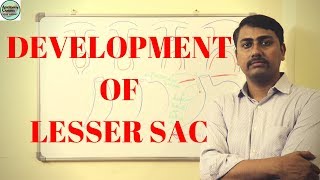 Development of Lesser Sac [upl. by Killie381]