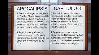 LA BIBLIA HABLADA quot APOCALIPSIS 1 al 22 quot COMPLETO NUEVO TESTAMENTO [upl. by Keenan144]