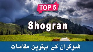 Top 5 Places to Visit in Shogran Kaghan  Pakistan  UrduHindi [upl. by Viscardi793]