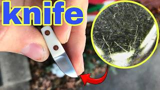 Microscopic Comparison Small Folding Knife vs Pocket Knife [upl. by Akimrehs729]